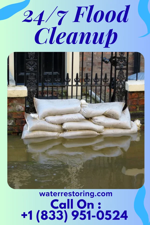 24/7 Flood Cleanup in Blackduck, MN