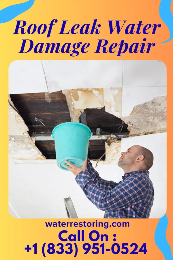 Roof Leak Water Damage Repair in Blackduck, MN