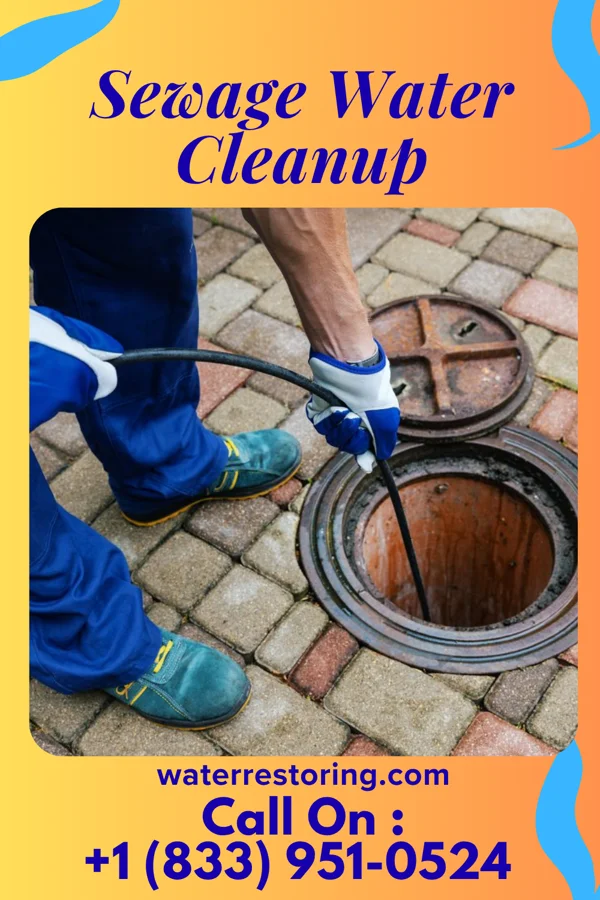 Sewage Water Cleanup in Blackduck, MN