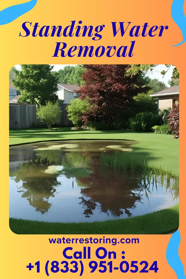 Standing Water Removal in Blackduck, MN